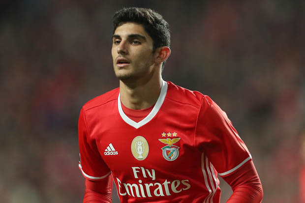 Goncalo Guedes.jpg